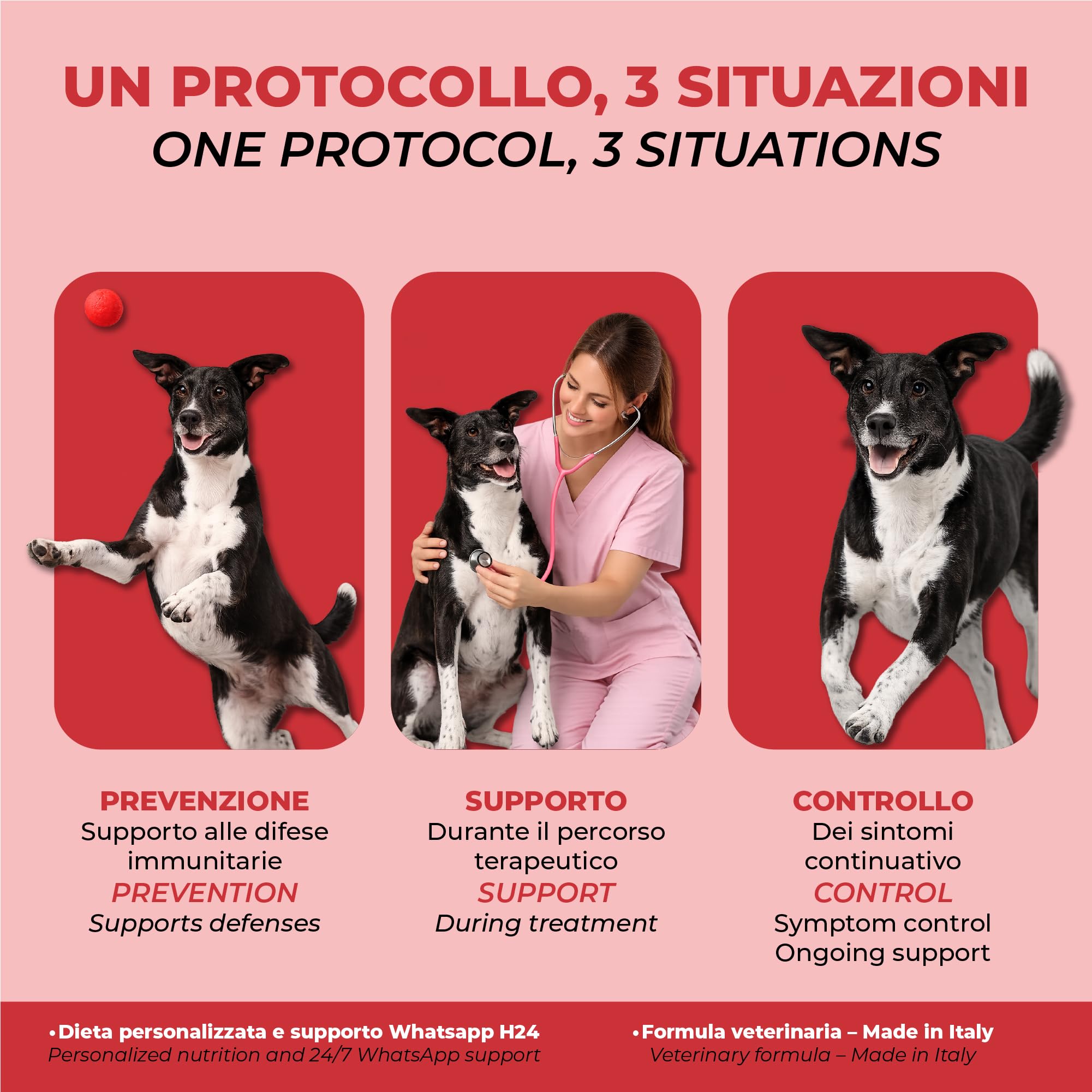 PETCEUTICA Protocollo Anti Leishmaniosi Cane, Integratore Difese Immunitarie, Supporto Sistema Immunitario con Echinacea e Probiotici, Made in Italy