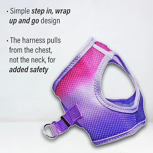 Vista 97 de DOGGIE DESIGN American River - Arnés para perro de la colección ombré, color frambuesa (S (circunferencia de 13 a 16 pulgadas)