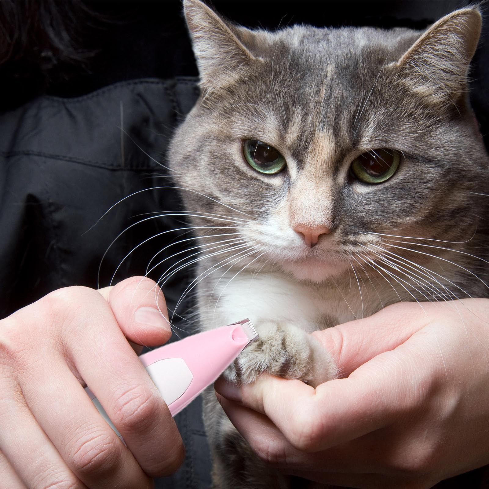 Rasoio Elettrico Silenzioso Per Zampe Di Cani E Gatti – Con Luce LED, Taglio Sicuro E Delicato Per Aree Sensibili - 2