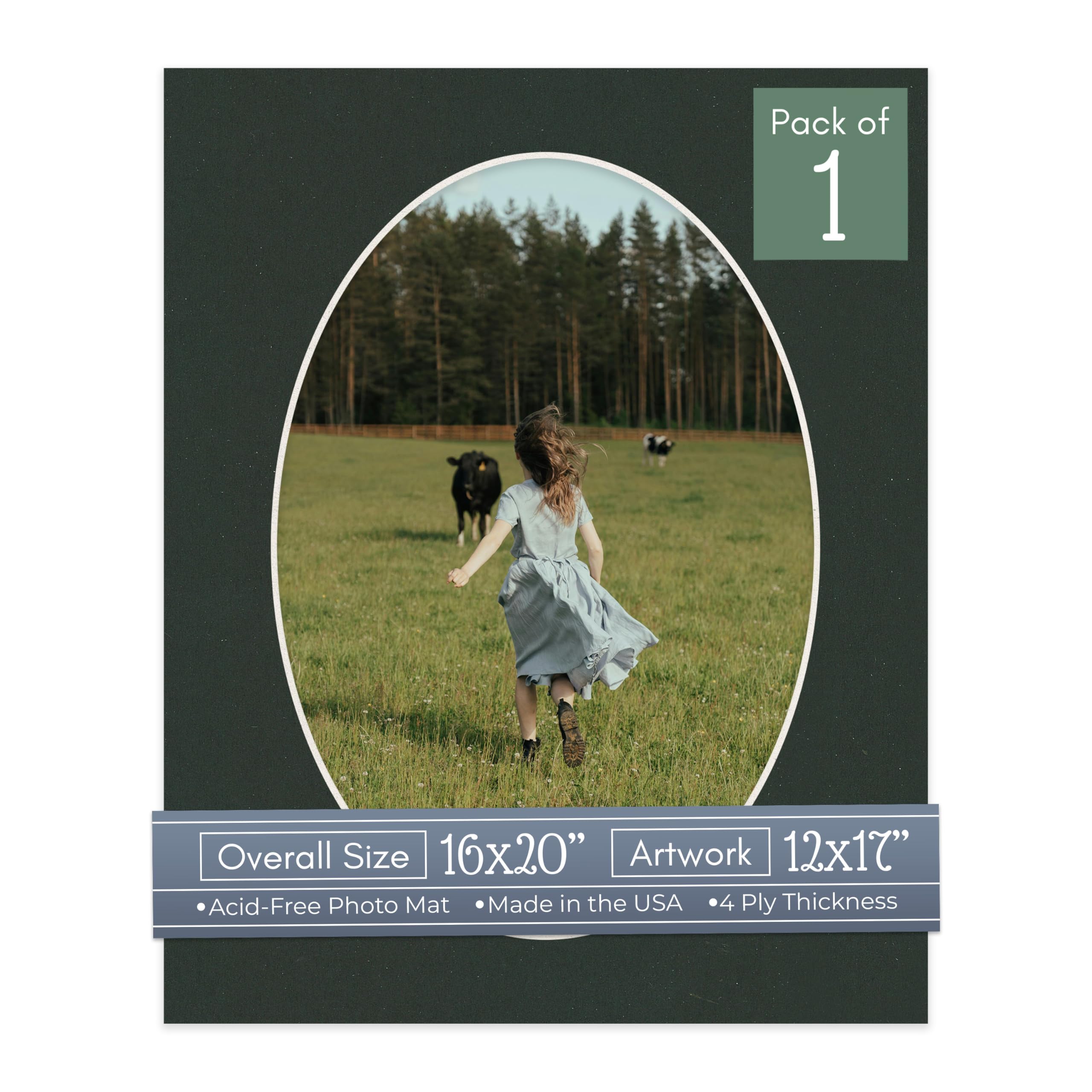 CountryArtHouse Textured Black Acid Free 16x20 Oval Picture Frame Mat with White Core Bevel Cut for 12x17 Pictures - Fits 16x20 Frame - Pack of 1 Matboard Show Kit with Acid Free Backing & Clear Bag-image-11