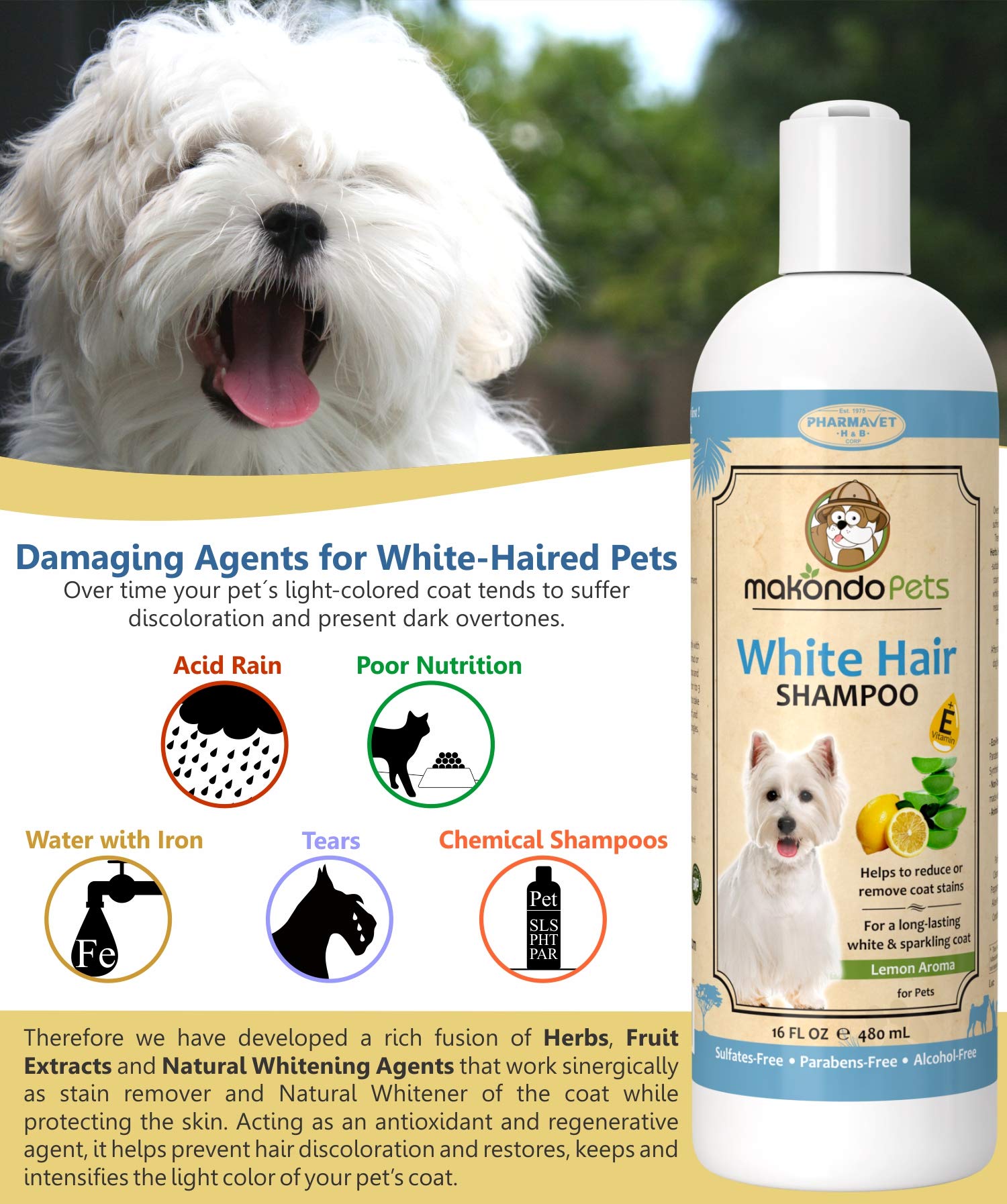 How To Get White Dog Fur White at Mary Thompson blog