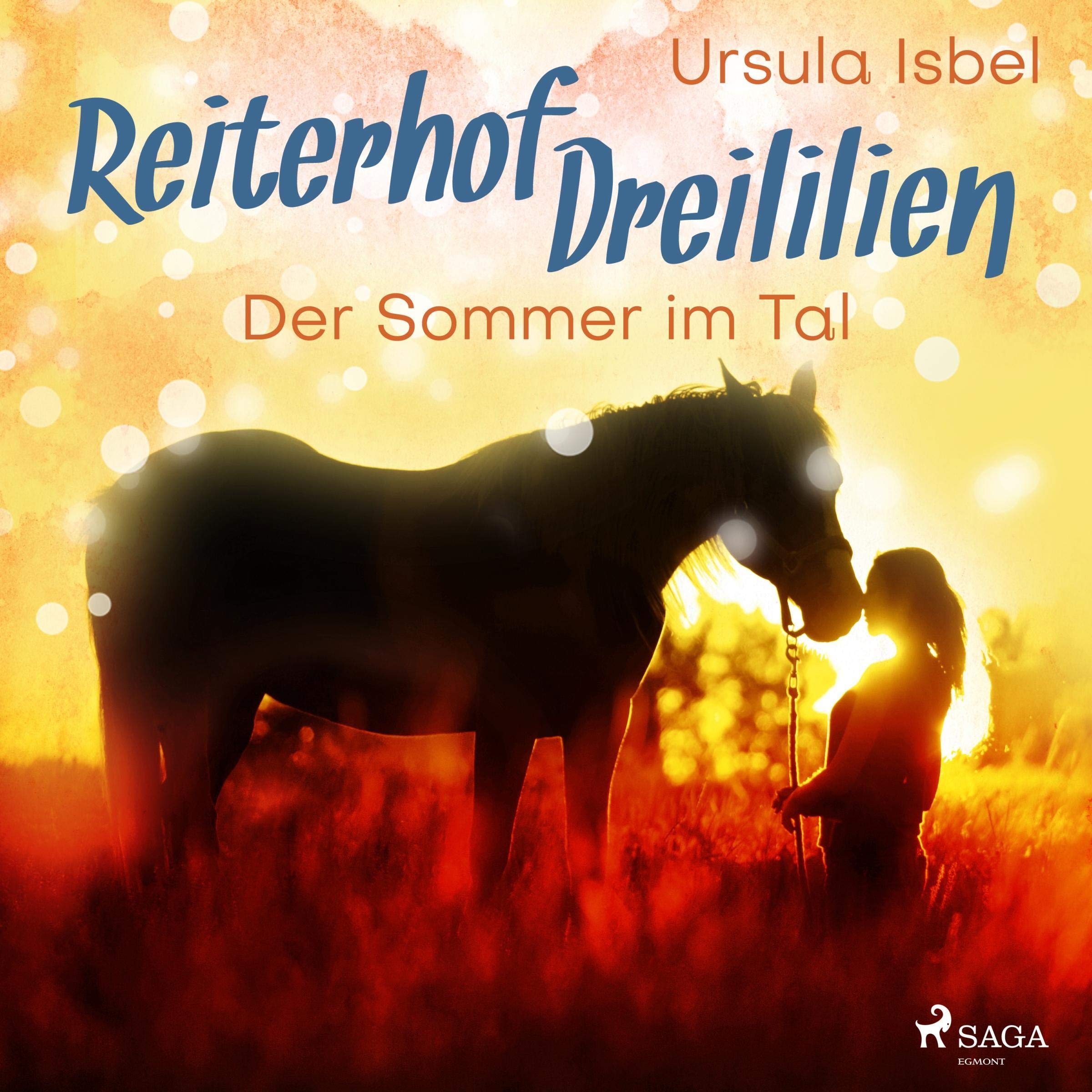 Cover art for Der Sommer im Tal - Reiterhof Dreililien