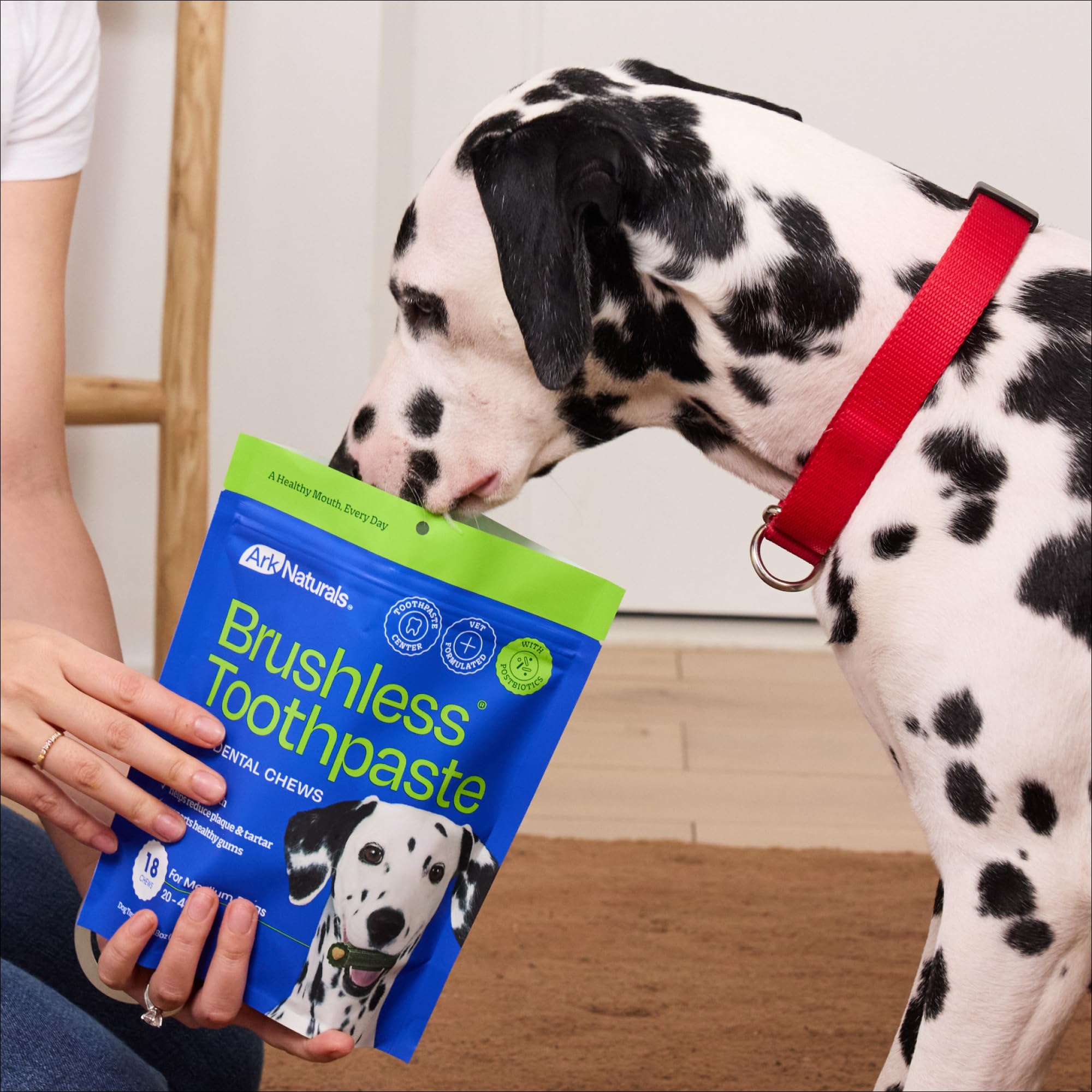 Ark Naturals Breathless Chewable Brushless Toothpaste for Medium-Large Dogs 18z
