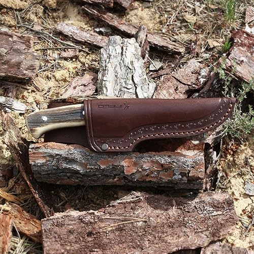 Miniatura 8 de iFIELD Cuchillo de caza deportivo para entrenamiento, hoja MOVA de 4 pulgadas en acabado satinado, hoja total de 8.5 pulgadas, virola de acero