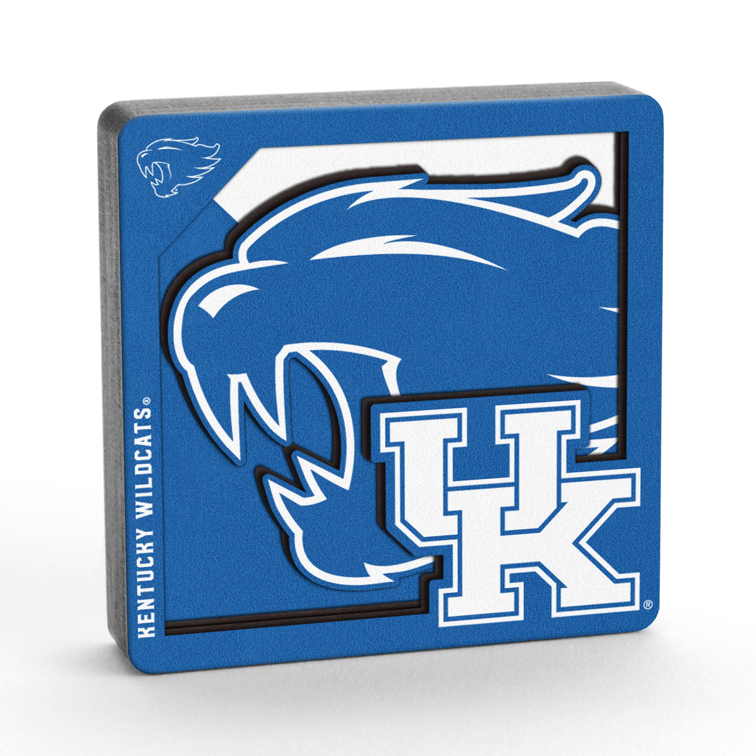 YouTheFan NCAA 3D Logo Series Magnet