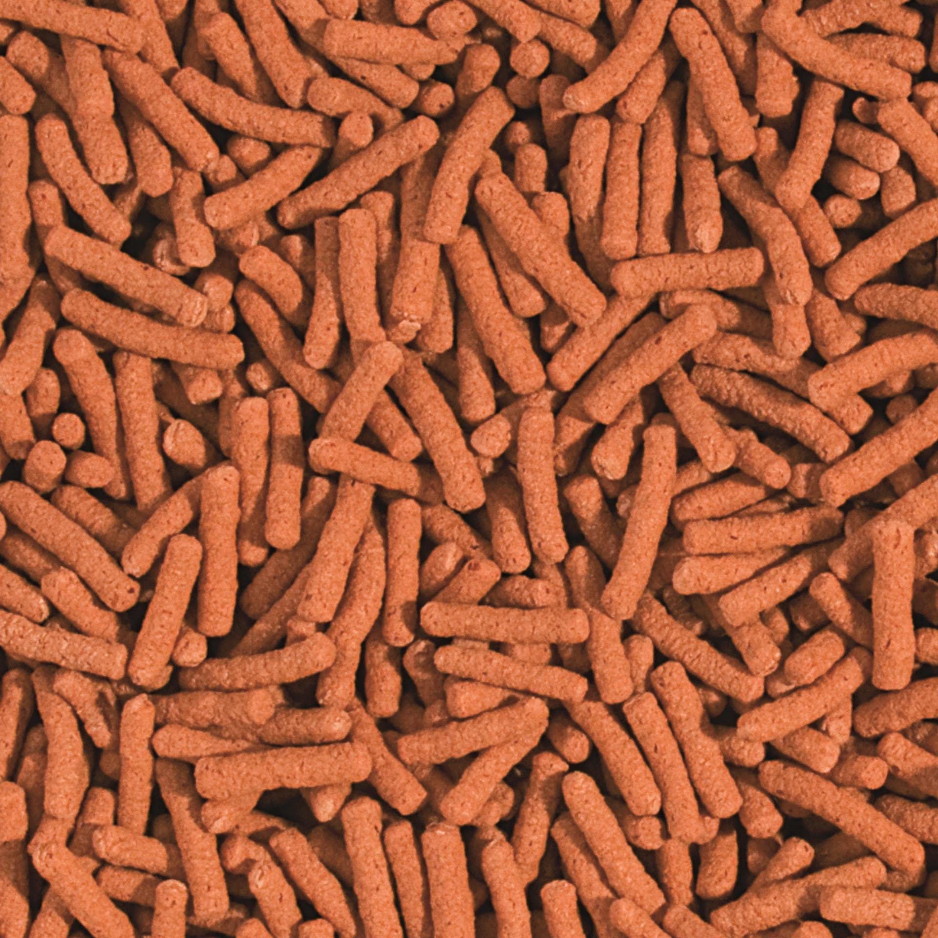 Tropical Pływający pokarm wybarwiający dla ryb w oczku wodnym KOI&GOLDFISH COLOUR STICKS 20L / 1600g