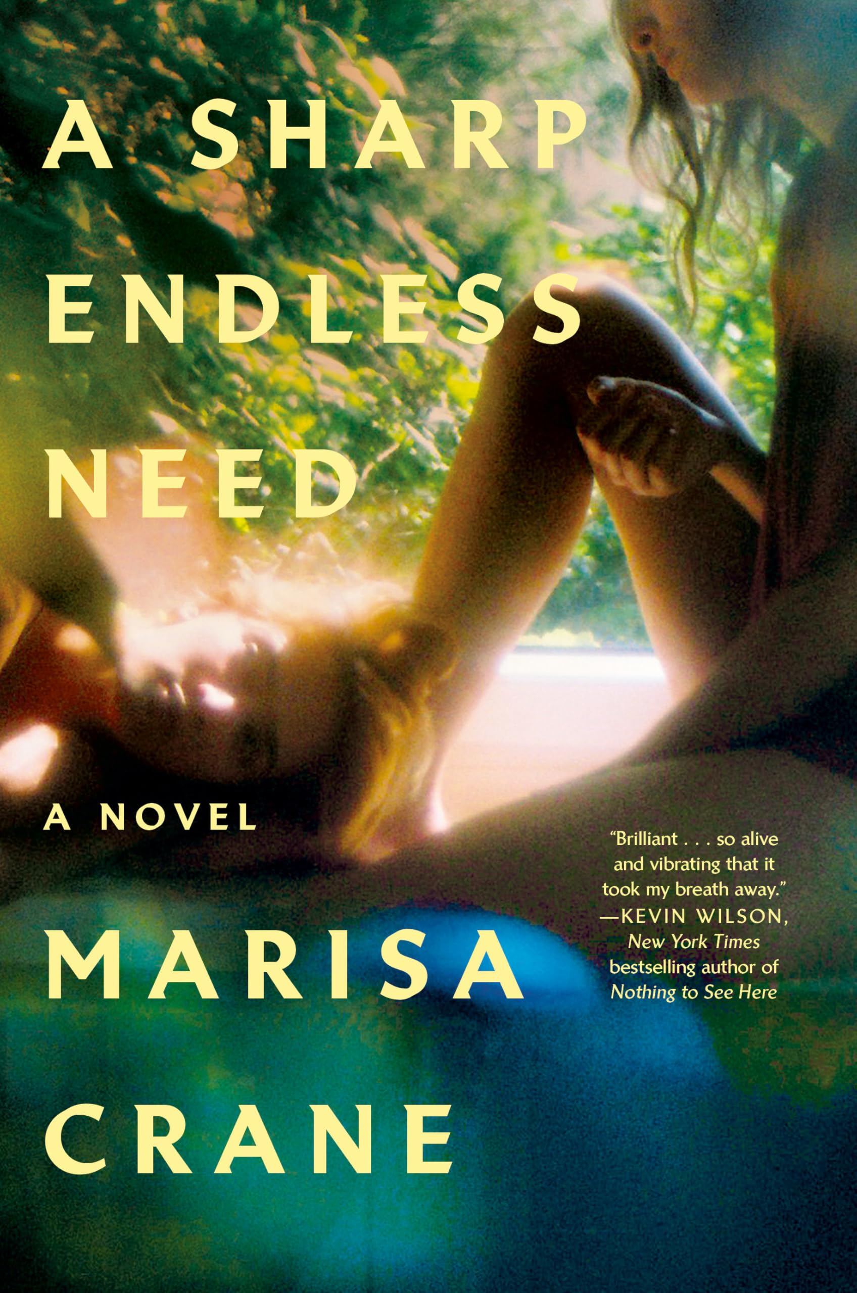 Buy A Sharp Endless Need: A Novel — BookShops.in