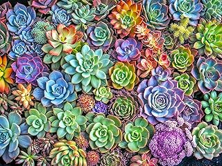 Lucky Puzzles | 500 Piece Jigsaw Puzzles for Adults | Green Thumb Gala | Colorful Artwork Puzzle | Unique Flower Puzzle | Flower Puzzles for Adults | Random Cut Pieces | Satin Finish | Ages 14+
