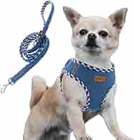 bag付きハーネス Amazon | Aiminto デニム犬用ハーネス＆リードセット、通気性の