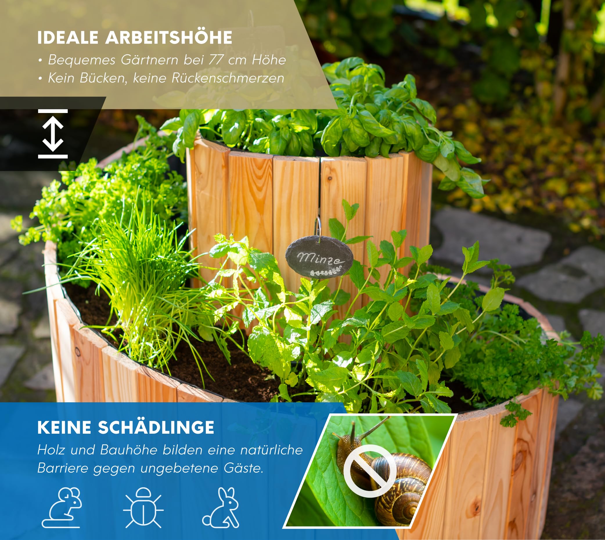 WESTMANN Kräuterschnecke aus Holz – Kräuterbeet für Garten, Terrasse und Balkon – Holz- & Frühbeet zum Bepflanzen von Kräutern oder Blumen – Blumenkasten für Hobbygärtner - 55x55x74 cm (BxTxH)