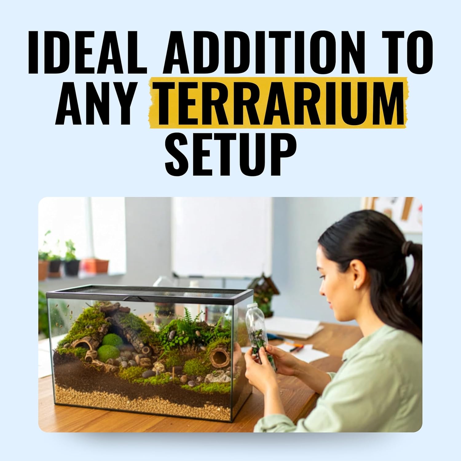 Creation Cultivated 12+ Oreo Crumbles Isopods Live - Live Bugs for Bioactive Terrarium, Vivarium Clean-up Crews, and Reptile Food - Easy-Care Isopods for Terrarium