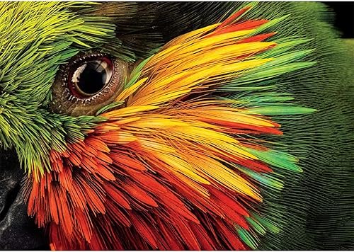 Buffalo Games - Rompecabezas de 500 piezas disponible en Yaxa Colombia