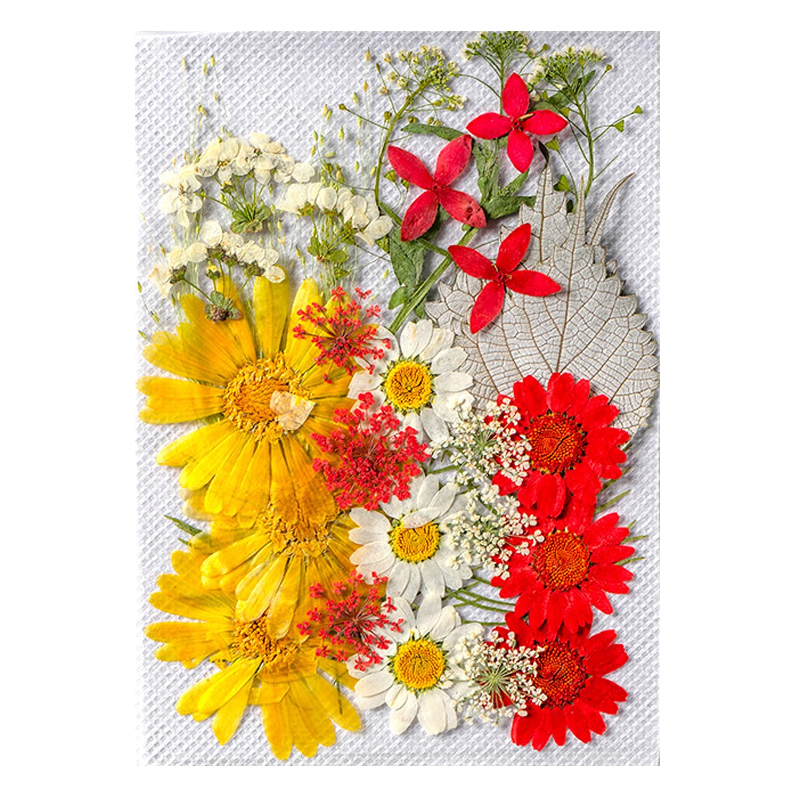 amangul Beautiful Pressed Flower Dried Flower Set for Crafting Natural Pressed Flower for Scrapbooking and Craft Projects(Golden Fountain)