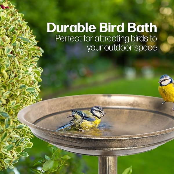 DIVCHI Bird Bath for Garden Freestanding Birdbaths Wild Birds Baths Feeder Bowl Pedestal Birdbath for Outdoors Patio Yard & Lawn Décor (Bronze Classic Bird Bath) - 2