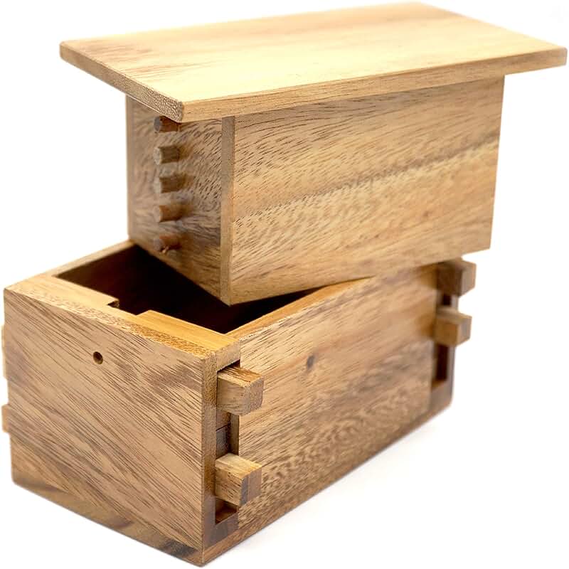 Amazon.ca Puzzle Boxes