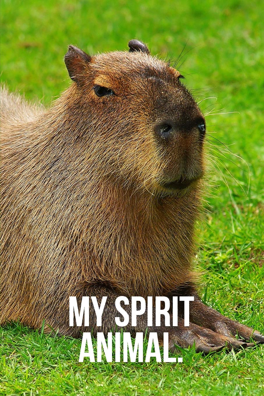 My Spirit Animal: Capybara Journal