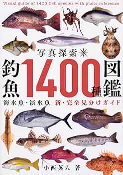 81LGdXL9efL._UF350,350_QL50_.jpg