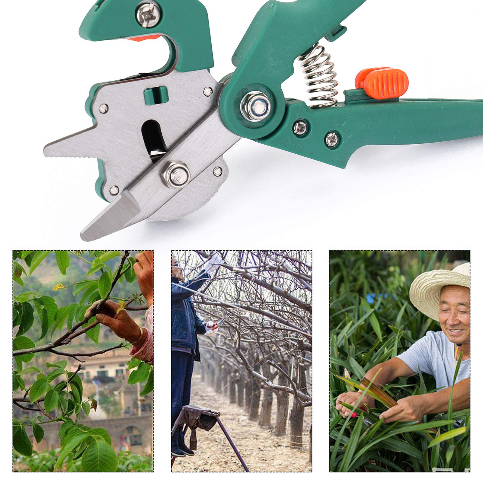 Forbici per Innesto e Potatura Forbici Innesto Professionale Kit, Giardino Innesto Kit Professionali Cesoia Forbici da Potatura Set da Giardinaggio, Lame Intercambiabili, Lama Affilata, Ottimo Regalo