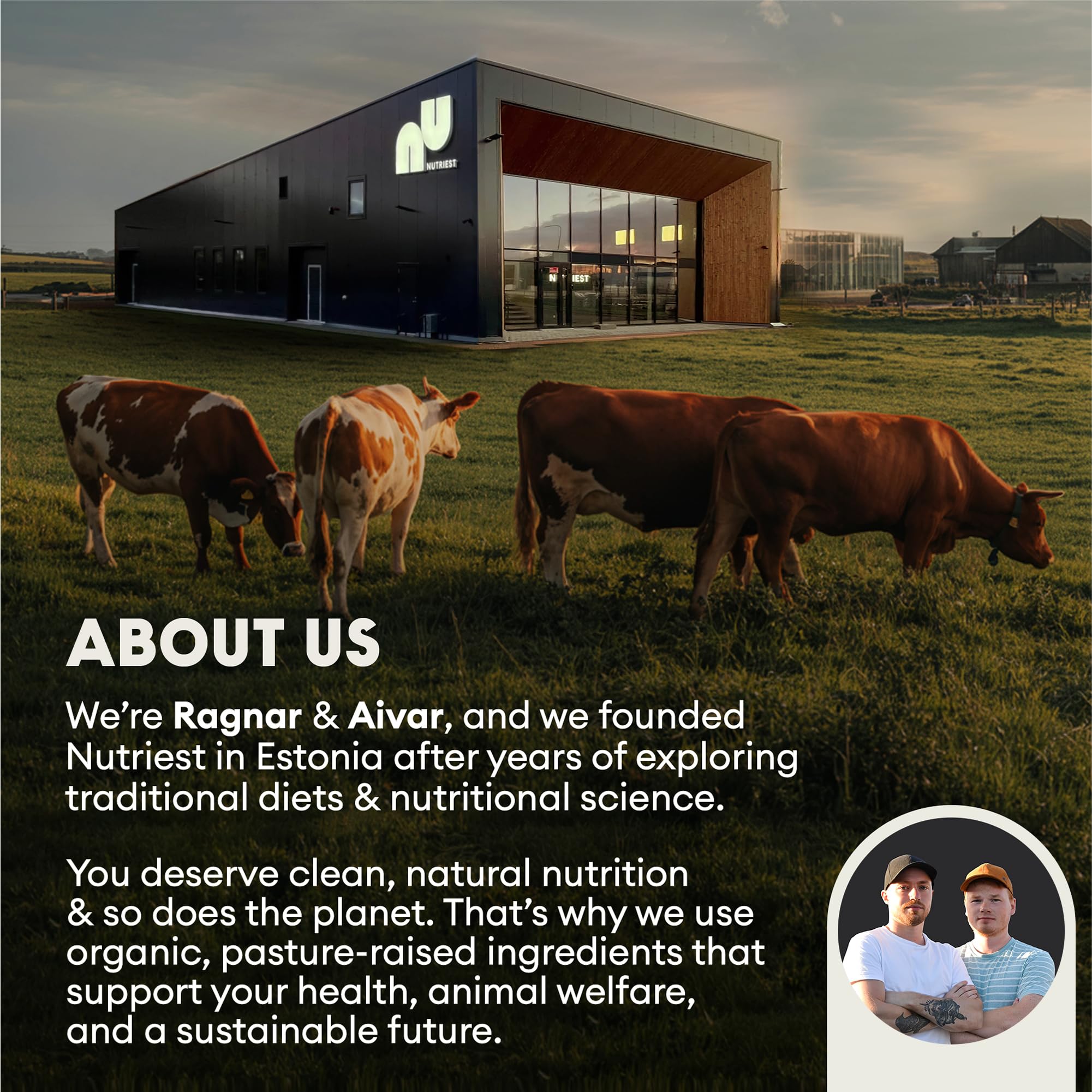 Nutriest Collagen Peptides Powder (300 g) I Beef Collagen Powder from Certified Ecological Livestock - Hydrolyzed Collagen I For Joints, Intestines and Skin I Peptides