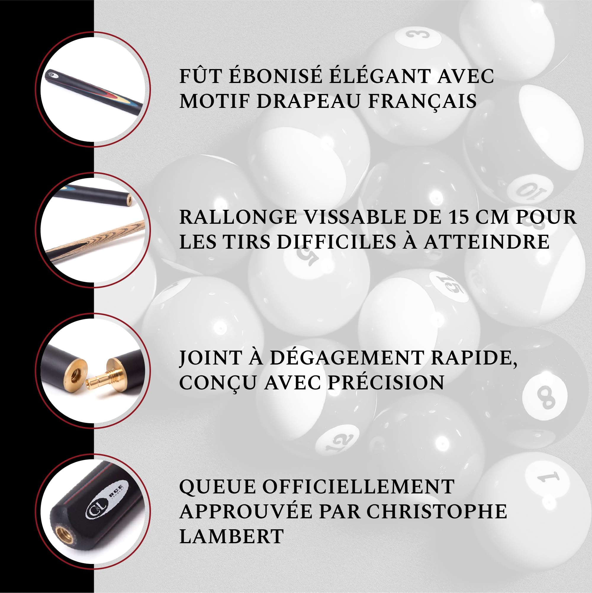 BCE Protégé Queue de Billard 3/4 Coupe Christophe Lambert avec étui Rigide