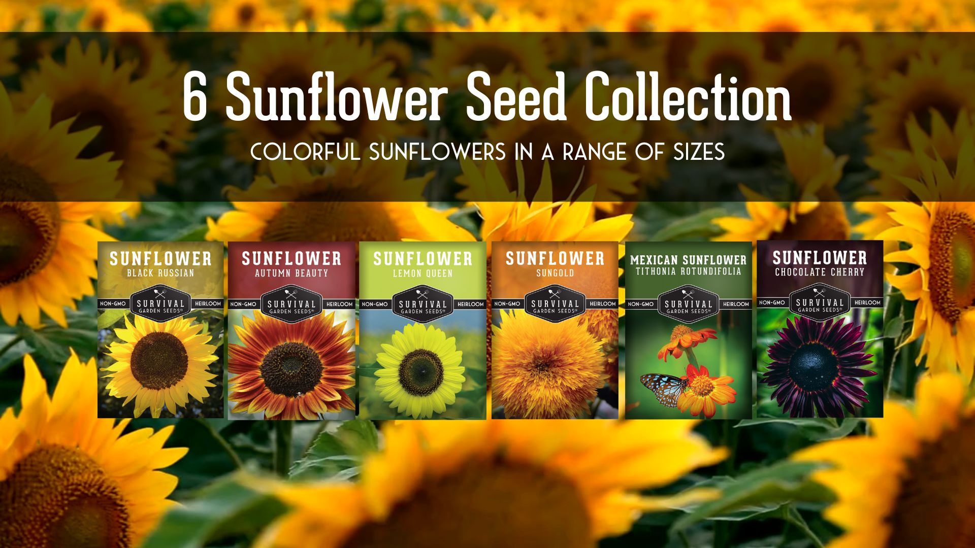 Amazon.com : Sunflower Seeds Collection for Planting | 6 Variety