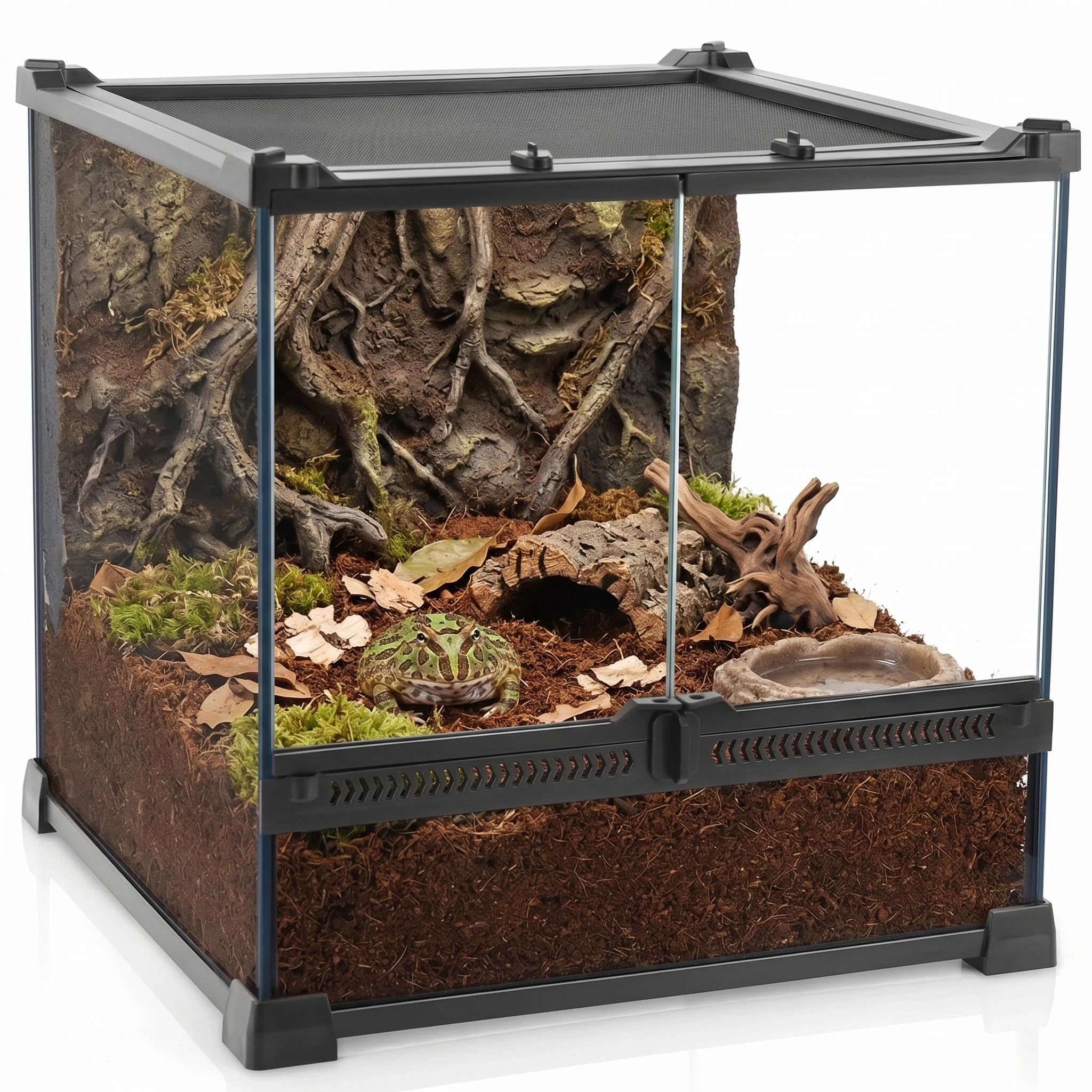 NEPTONION Mini Reptile Glass Terrarium 12"x12"x12" Durable Reptile Habitat Tank with Heat Resistant Aluminum Alloy Frame, Double Swinging Doors with no Jam by Sand and Other Debris