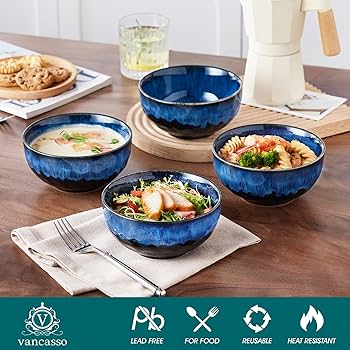 Amazon.com | vancasso Starry 24oz Bowls for Soup, Ceramic