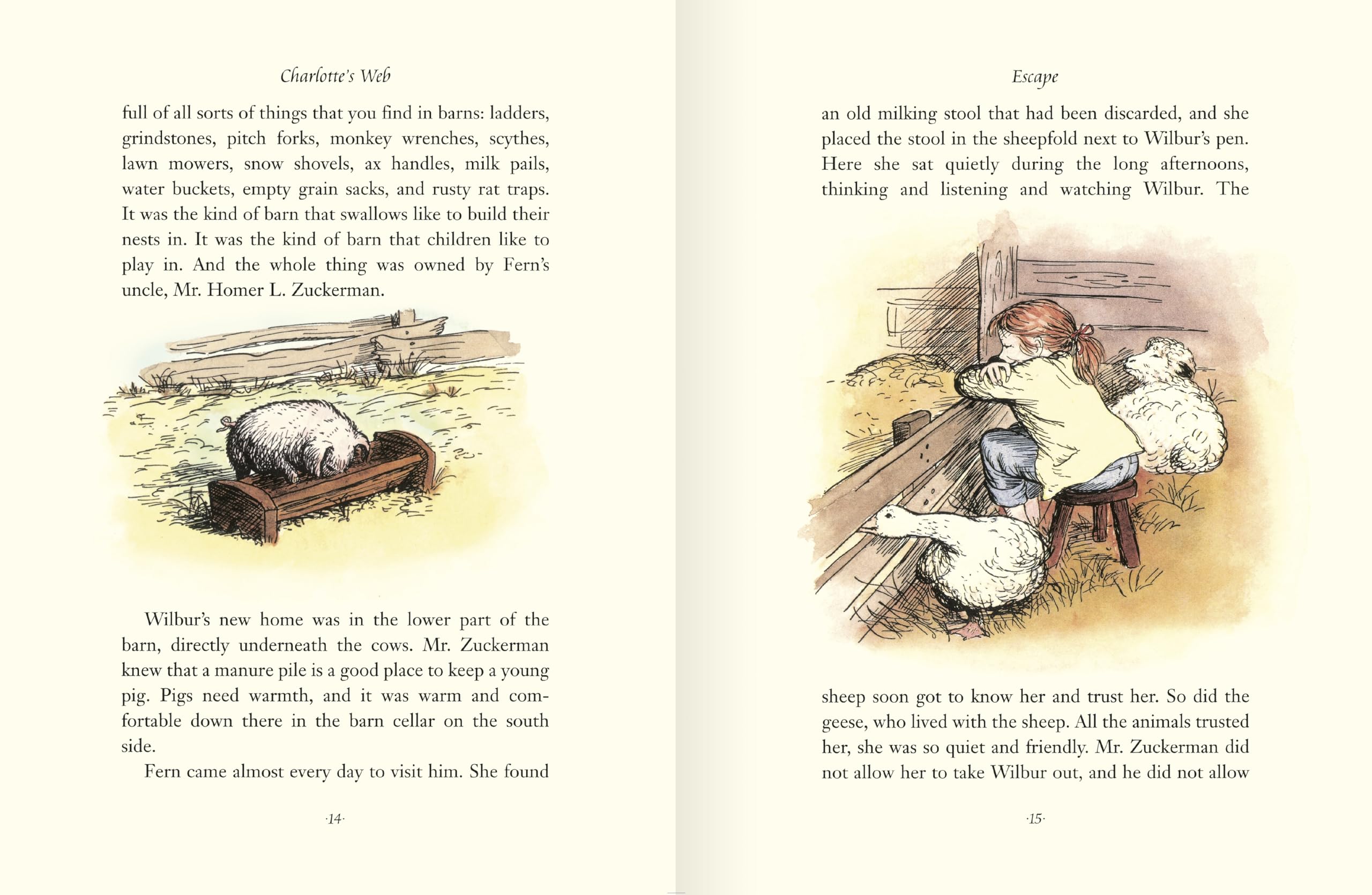 Charlotte's Web: Colour Illustrated Gift Edition