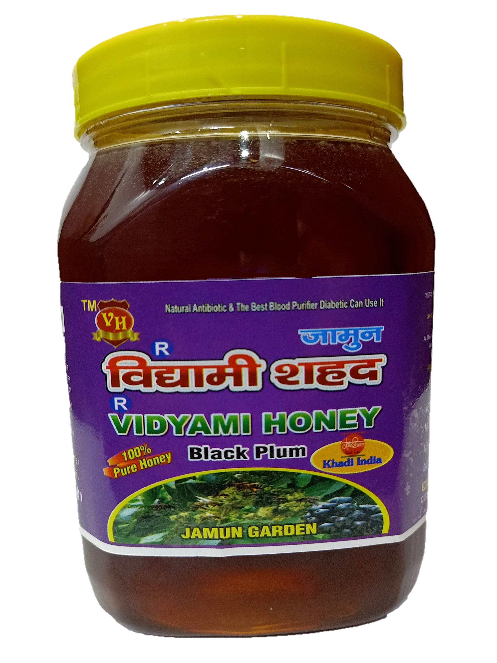 VIDYAMI NATURAL JAMUN [ BLACKBERRY ] HONEY 1 KG / 100% ORGANIC (B08KPLRVS5) Amazon Price History, Amazon Price Tracker