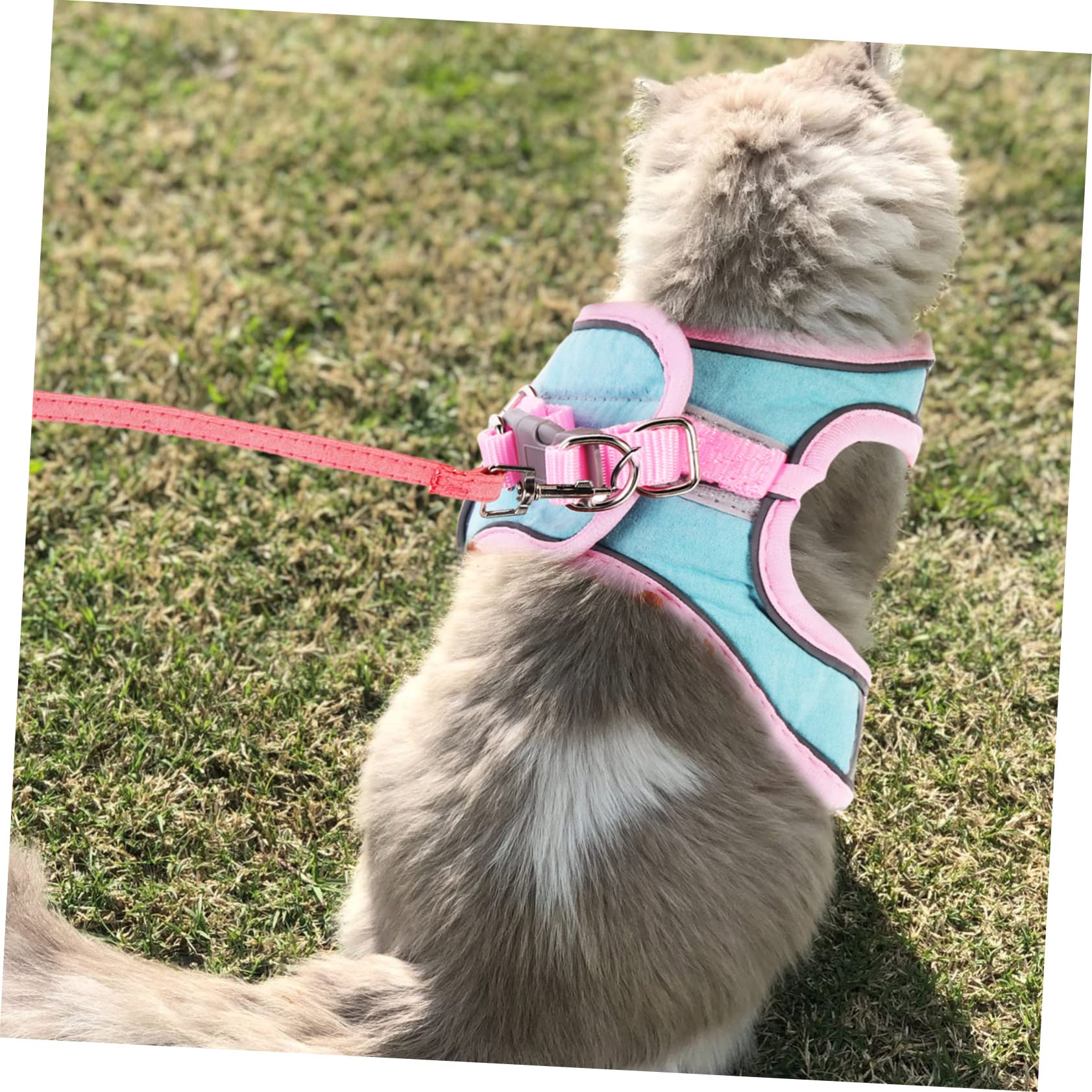 Mipcase 5ensembles Réfléchissant pour Chat avec Laisse pour Promenade Extérieure Sécurité Et Confort pour Votre Animal Design Léger Et De Type Gilet pour Chats Et Chiens