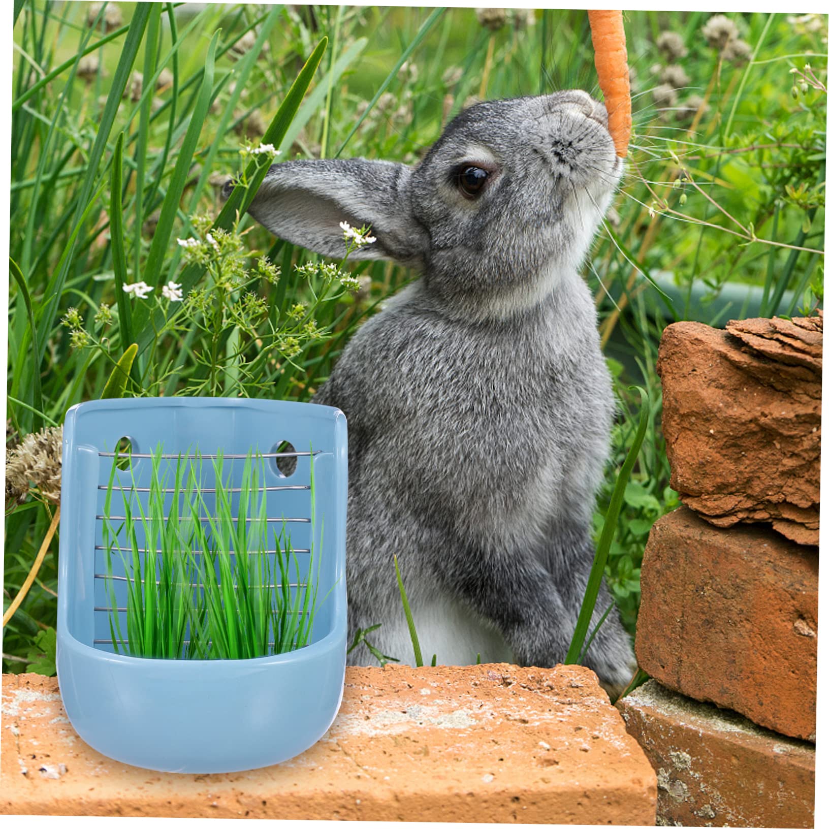 Mipcase Comedero para Mascotas Pequeñas de Cerámica Doble Propósito Estante de Alimentación para Cobayas Conejos Chinchillas Jaula