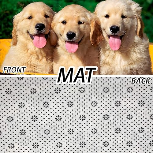 Miniatura 5 de Tapete de interior con patrón de calavera gótica para entrada, 17 x 29.5 pulgadas, tapete de calavera oscura para decoración del hogar, tapete