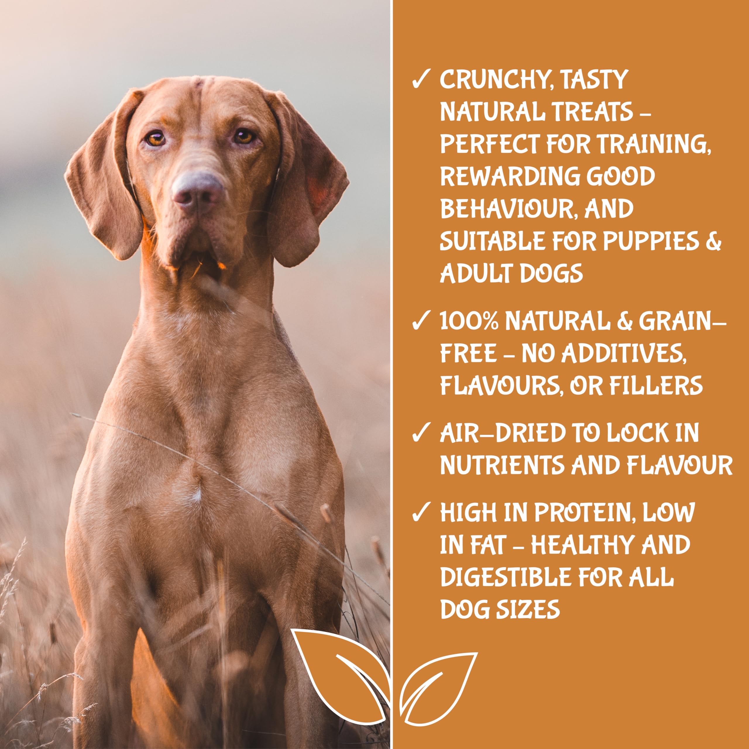 UPRAW Natural Dog Training Treats in bulk, 1kg 100% Pure Meat Training Cubes, Natural Hypoallergenic, Grain Free - Image 4
