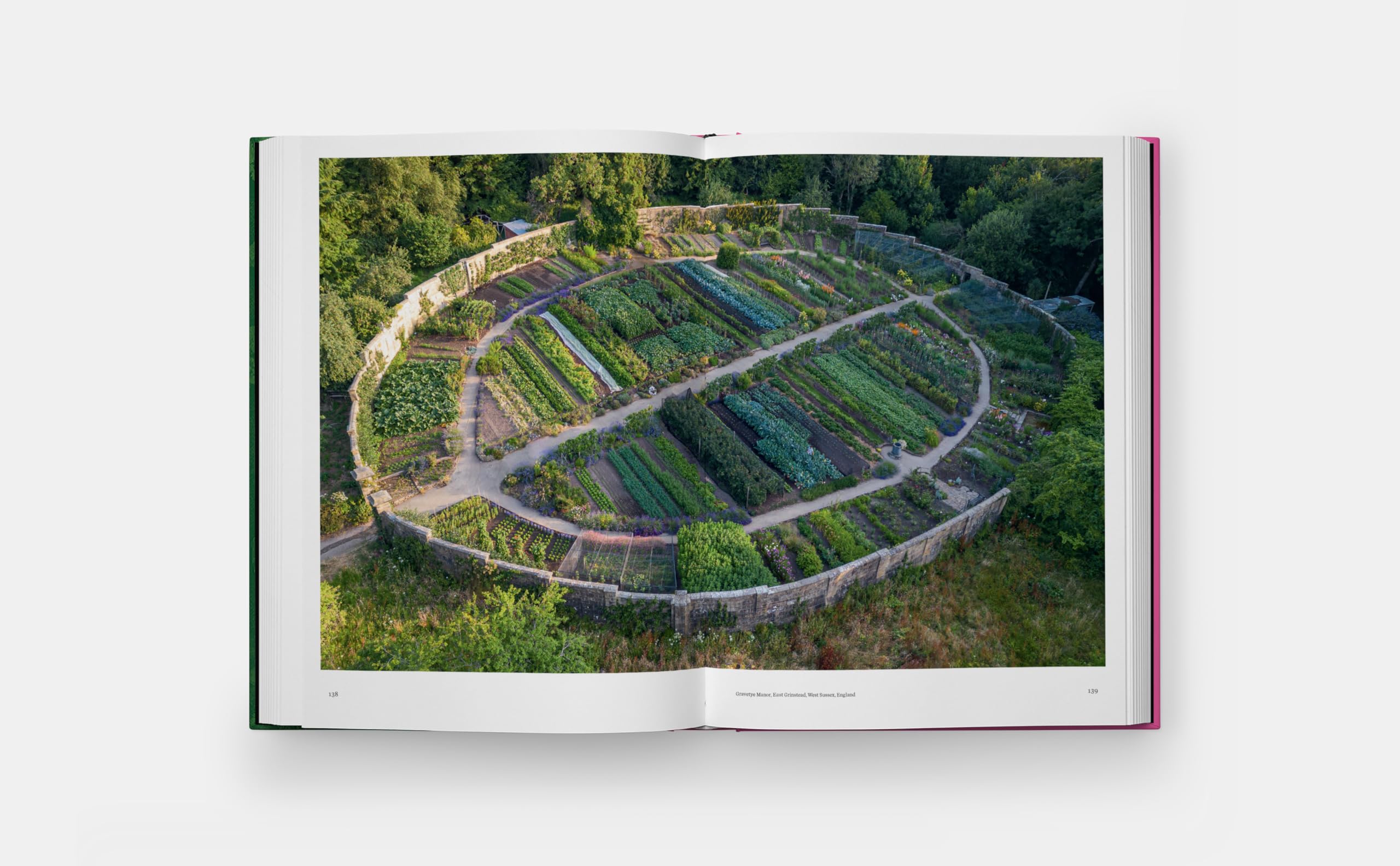 The kitchen garden