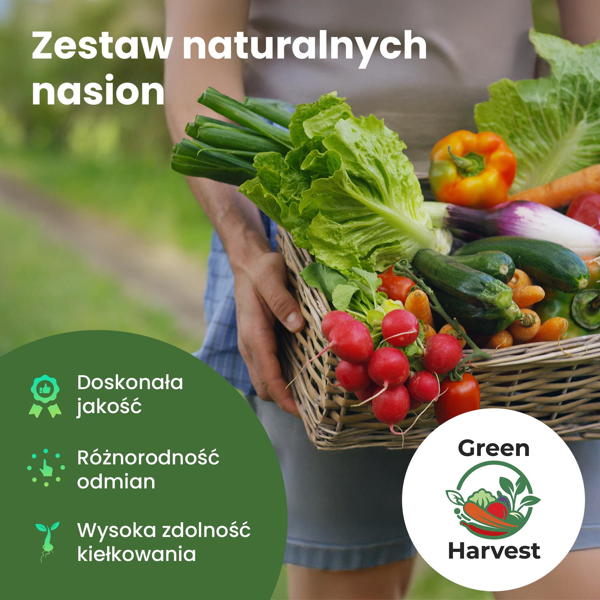 TORAF Zestaw nasion warzyw – 12 gatunków nasion do ogrodu, na balkon i do podwyższonej grządki – pomidory, ogórki, cukinia, sałata, brokuły, marchew, jarmuż, szczypiorek – zestaw do uprawy warzyw