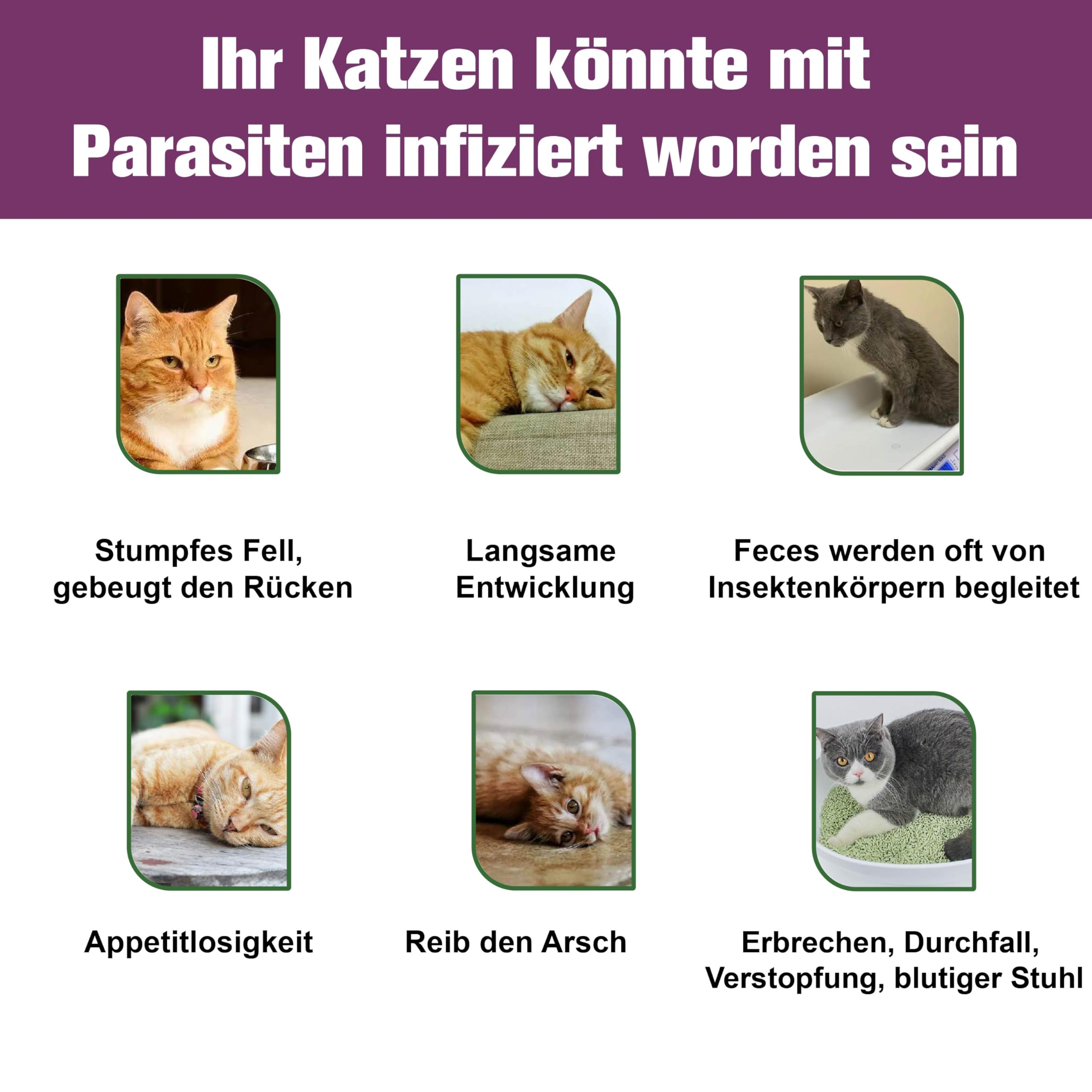 Zeckenschutz für Katzen 6 Pipetten, Spot On Katzen, Zeckenmittel für Katze, Katze flohmittel entwurmungsmittel für Katzen, gegen Flöhe & Zecken