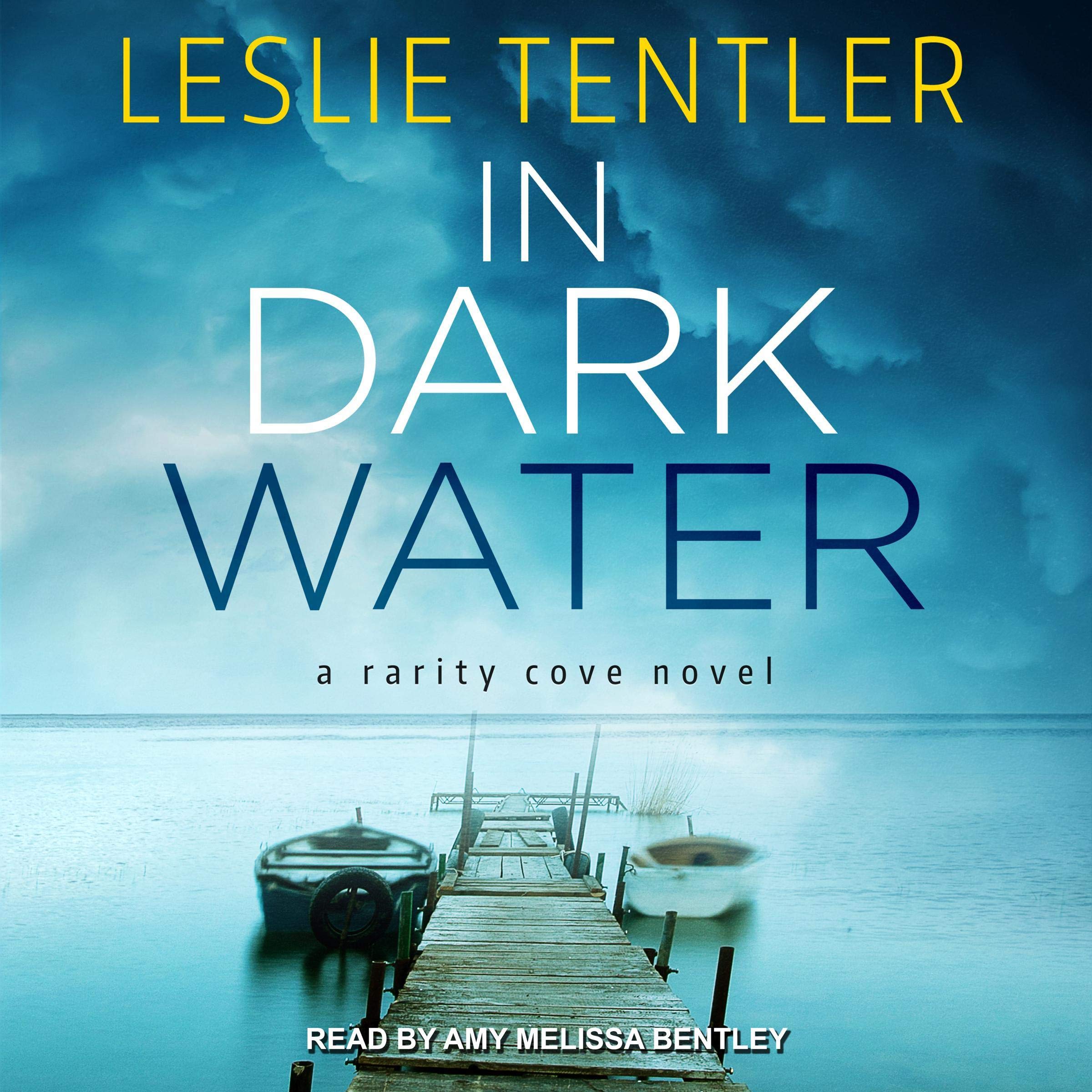 Cover art for In Dark Water