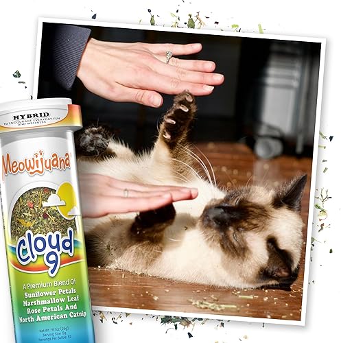 Miniatura 43 de Meowijuana Paquete de fresa Get Sprung Juguete de fresa recargable y mezcla de hierba gatera Happy Grass Promueve el juego y la salud del gato