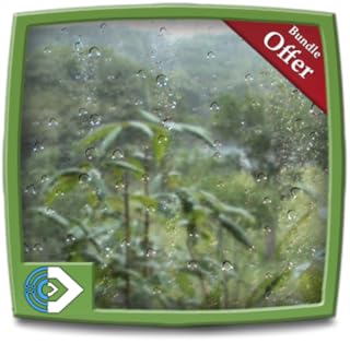 Rainy Jungle HD - Decor your Fire TV Screen with cool rainy forest