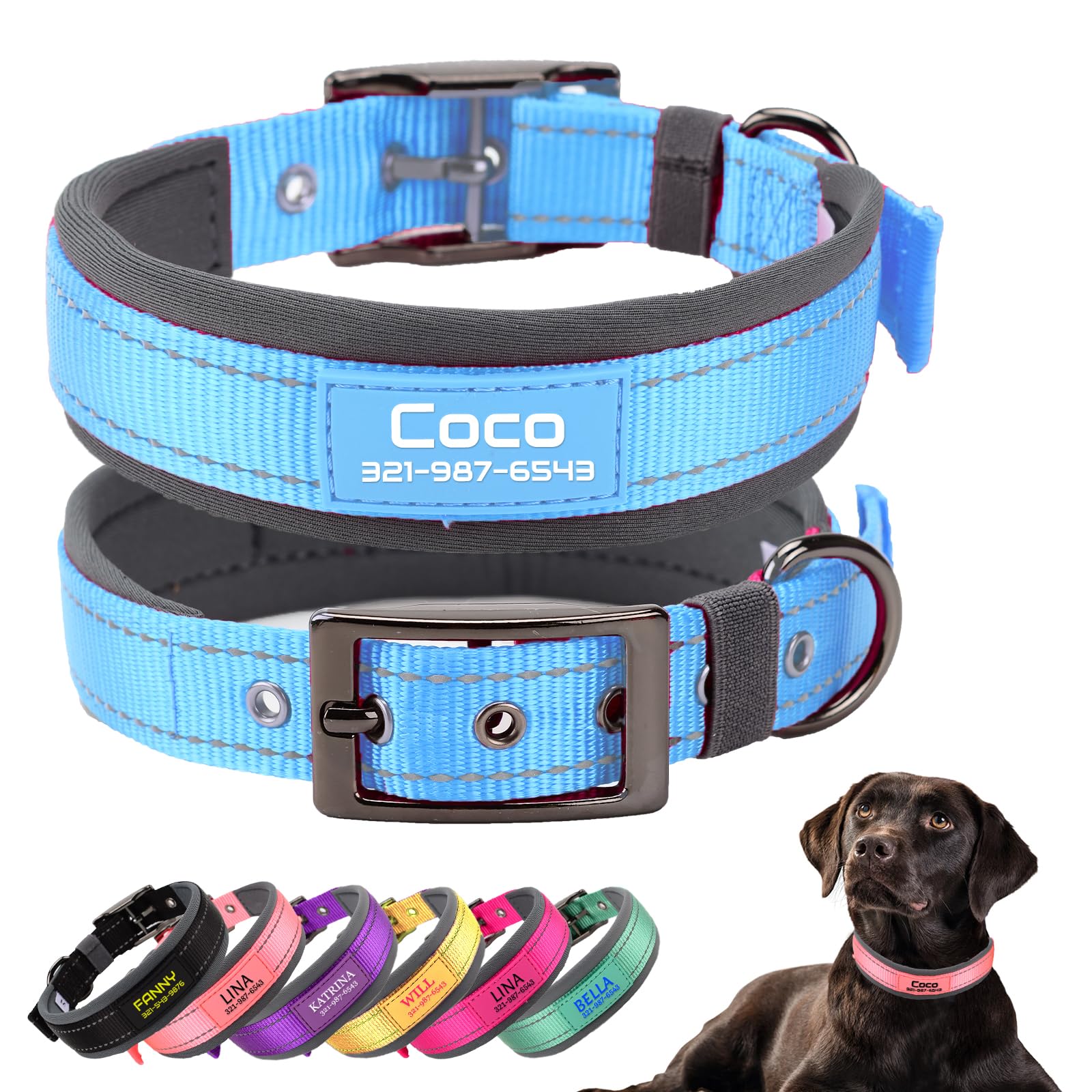 Personalized Dog Collars with Pet Name and Phone Number,Soft Neoprene Padded,Thick Strong Dog Collar,Adjustable Reflective Nylon Collar for Small Medium and Large Dogs,Sky Blue