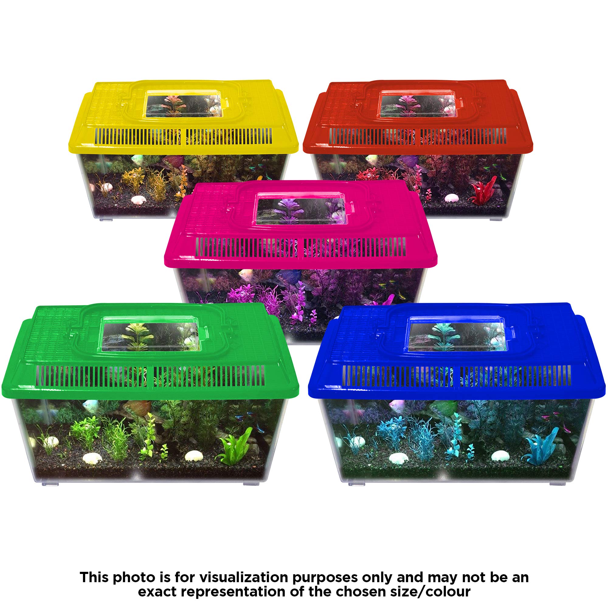 Innova Plastic Transparent Red 2.3L Terrarium Box, Container Aquarium Tank — view 4