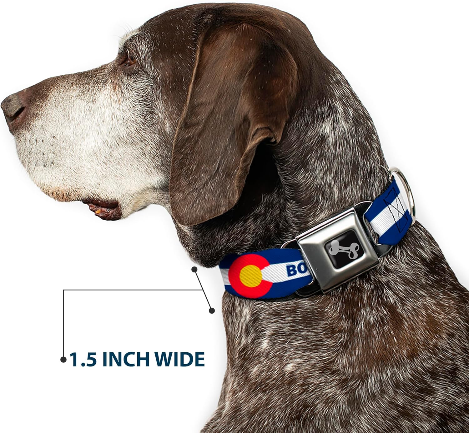 Dog Collar Seatbelt Buckle Colorado Boulder Flag Blue White Red Yellow 9 to 15 Inches 1.0 Inch Wide
