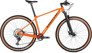 LOBITO MT10