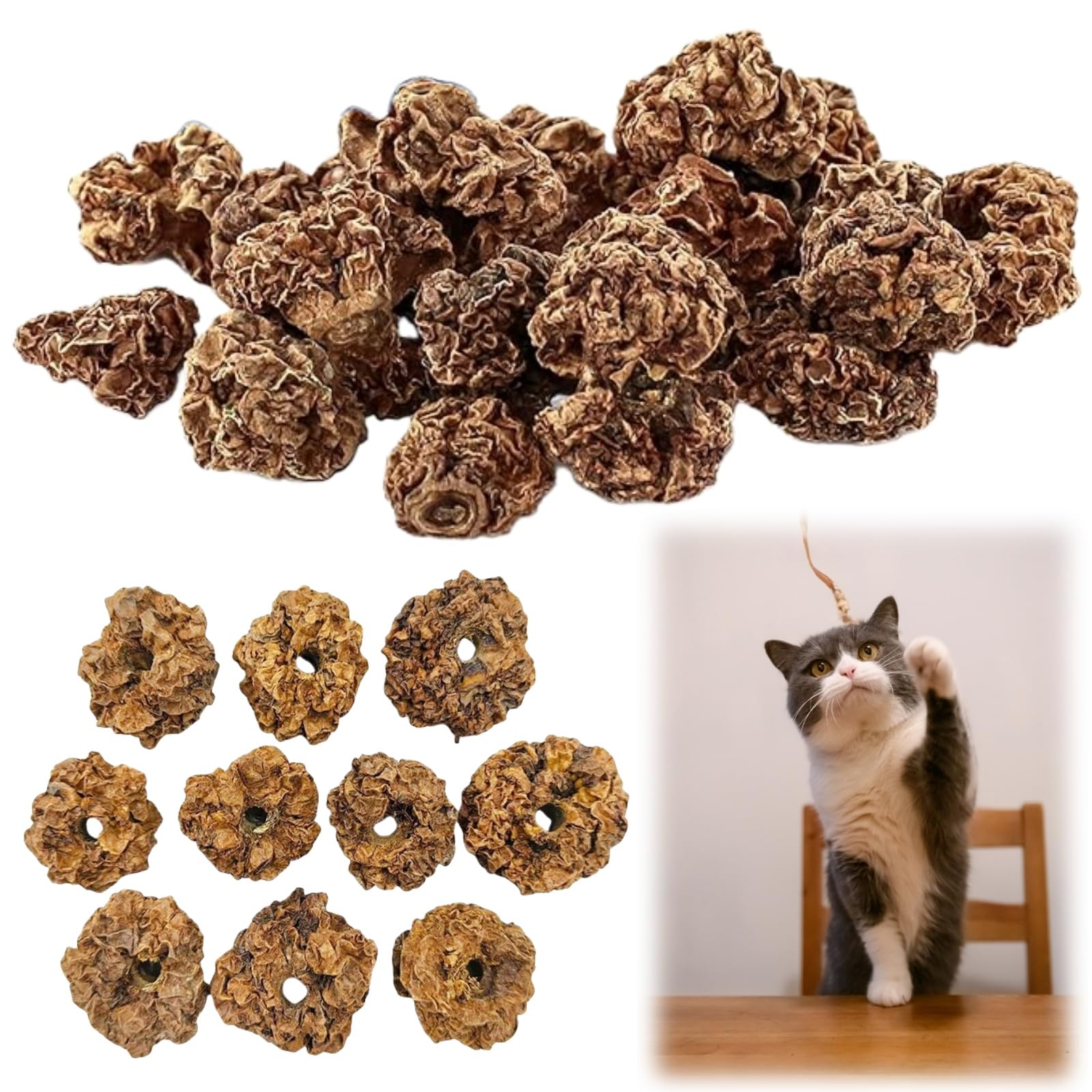 Frutas Matatabi,20pcs Juguetes para Gatos para Limpieza de Dentición,Cat Teething Toys,Snack Gatera para Limpiar Dientes
