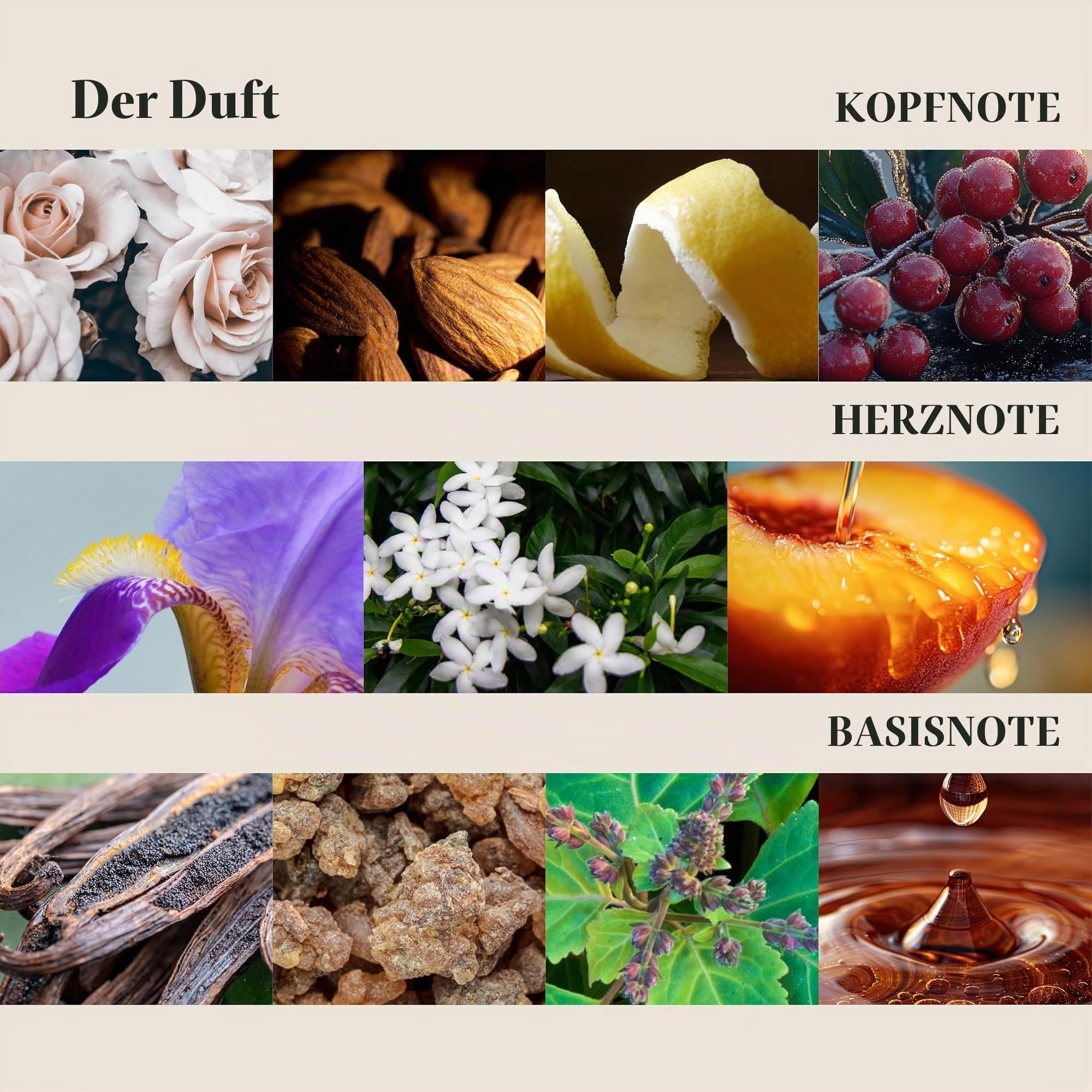 L'ANZA Keratin Heilöl Glänzender Conditioner für Geschädigtes Haar (950 ml), Nährt, Repariert, Glanz & Stärke für ein Seidiges Aussehen, Sulfatfrei, Parabenfrei, Glutenfrei, Haar Pflegespülung