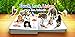 Zoo Animals ~ Touch, Look, Listen