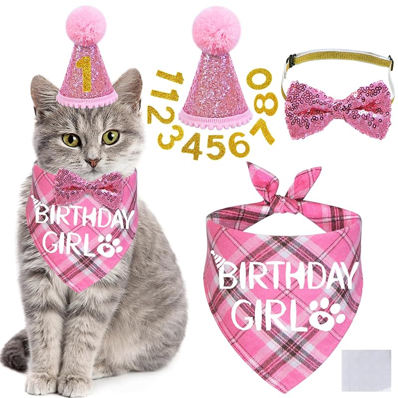 Kit Festa de Aniversário para Gatos STMK com Chapéu, Bandana e Gravata Borboleta