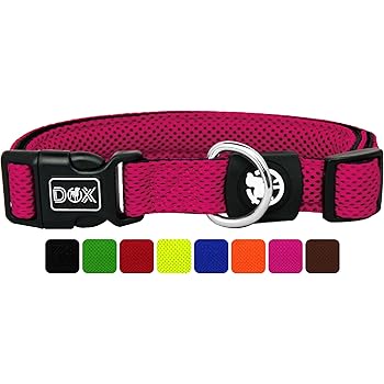 Homimp Halsband Set Fur Katzen Reflektierend Mit Glockchen Schnallenverschluss Verstellbar 20 30 Cm 12er Pack Amazon De Haustier