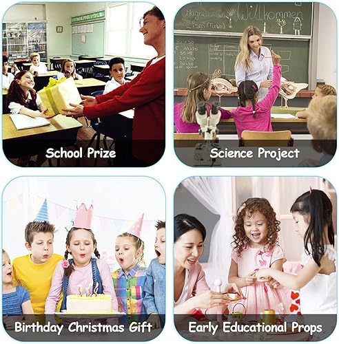 Miniatura 5 de Figuras de caballos, 18 piezas de juguetes de animales en miniatura de plástico para proyectos de ciencia, juguetes educativos de aprendizaje,