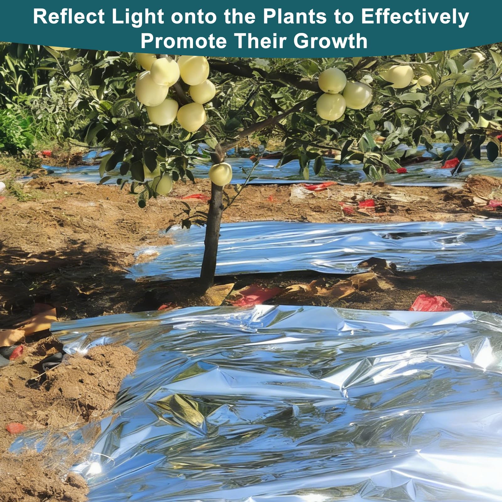 8 Sück Pflanze Reflektierende Film, 160cm*210cm Reflektierende Mylar-Folie, Gewächshaus Garten Abdeckfolie, Silber Zweiseitige Folienblätter für Garten Gewächshaus Pflanzenwachstum, Doppelseitig silbe